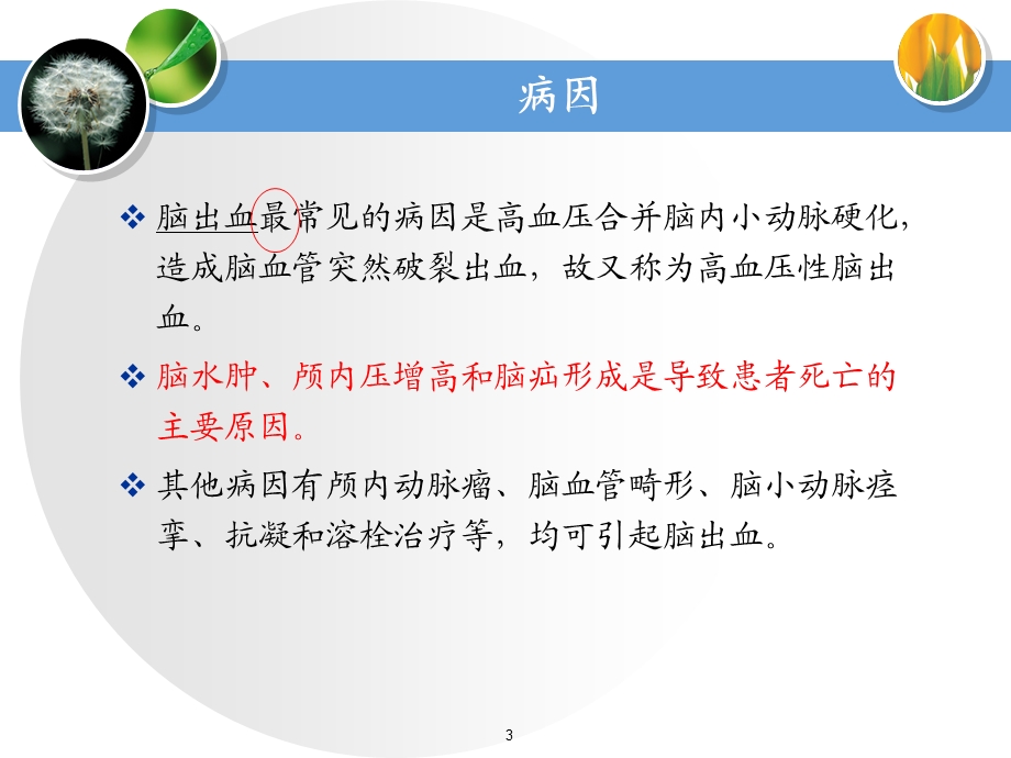 高血压脑出血的急救与护理课件.ppt_第3页