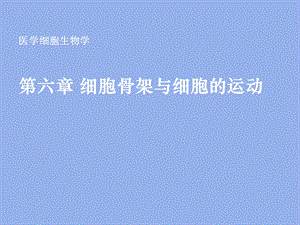 《医学细胞生物学》细胞骨架与细胞的运动课件.ppt