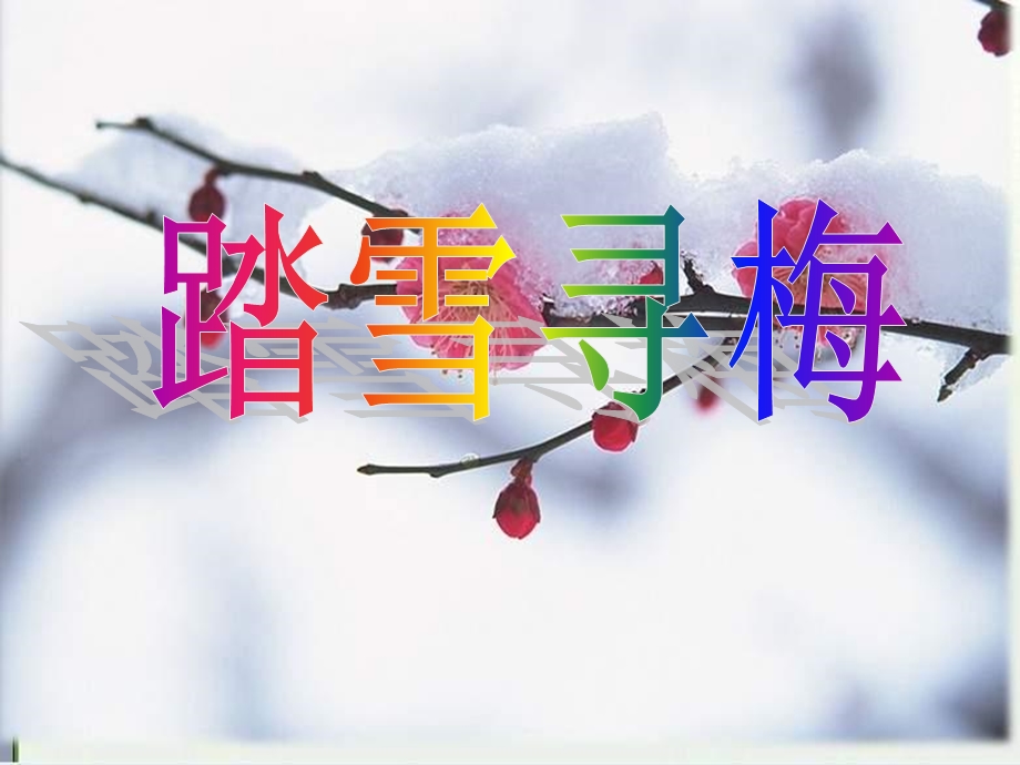 《踏雪寻梅》音乐课件(6篇).pptx_第1页