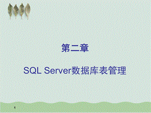 SQLServer数据库表管理详述课件.ppt