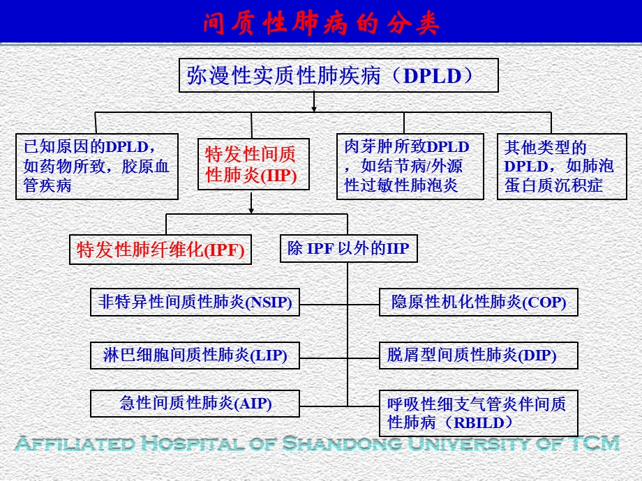 IPF诊断和治疗指南解读课件.ppt_第3页