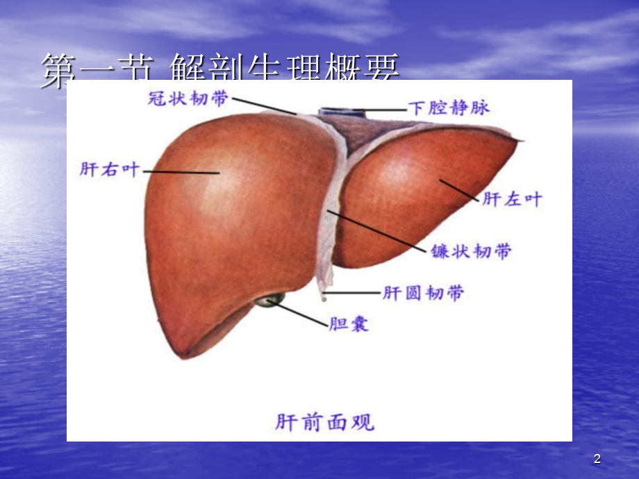 门静脉高压症病人的护理课件PPT.ppt_第2页