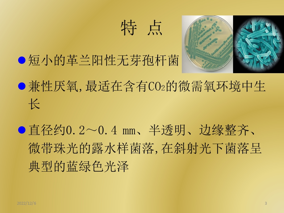 李斯特菌课件.ppt_第3页