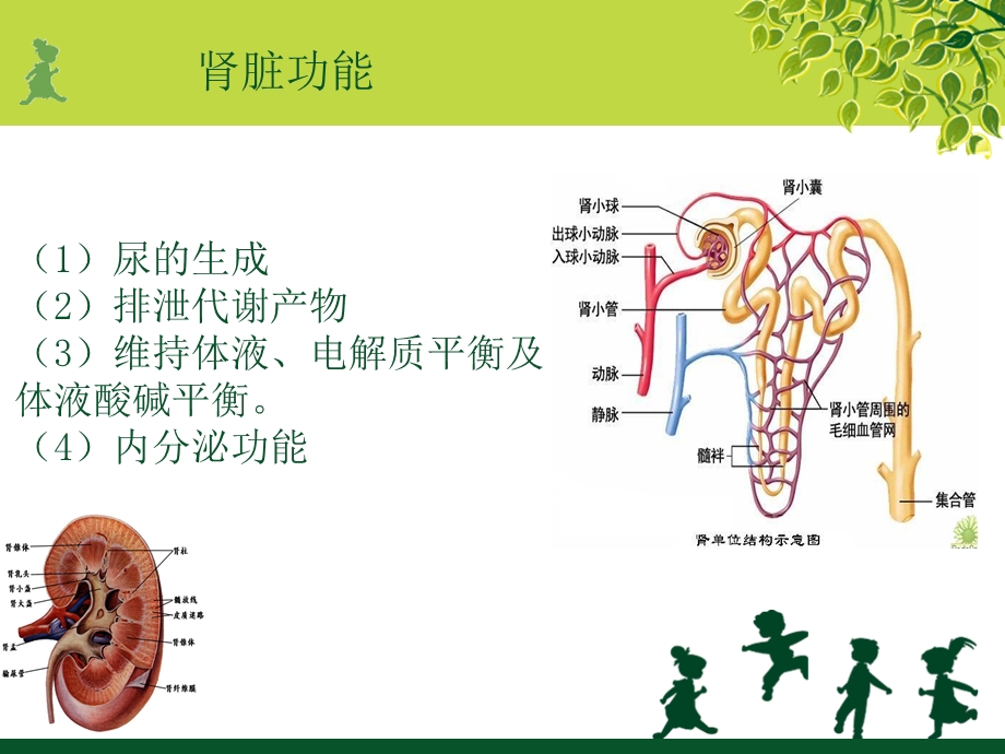 CRRT的护理优质课件.ppt_第2页