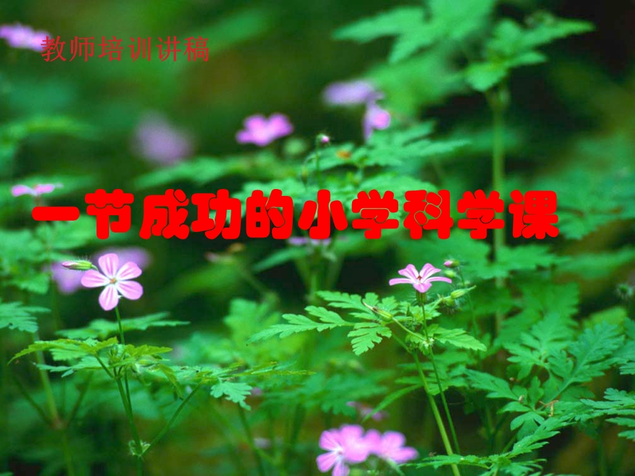 《一节成功的小学科学课》教师培训讲座提纲课件.ppt_第1页