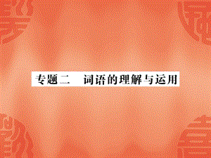 2020年贵州中考语文总复习ppt课件：专题二 词语的理解与运用.ppt