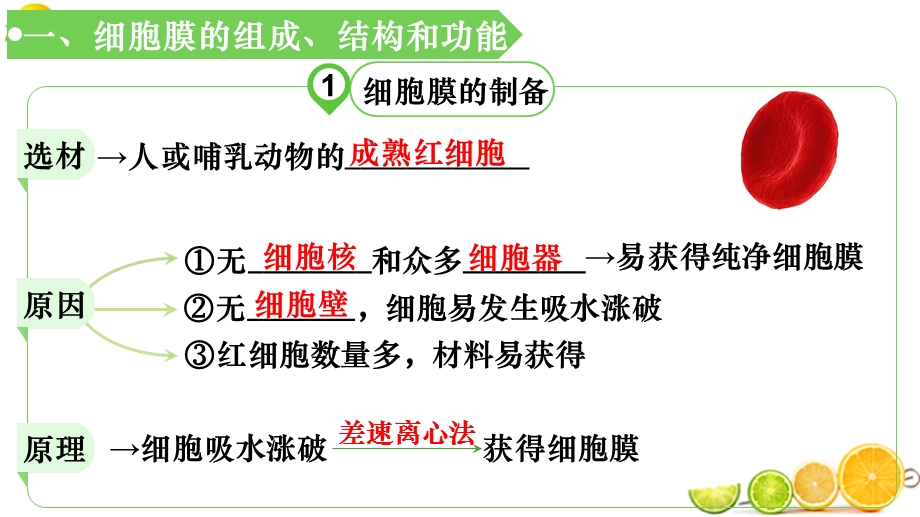 2021届高三一轮复习生物：第2单元第1讲细胞核和细胞膜ppt课件.pptx_第3页