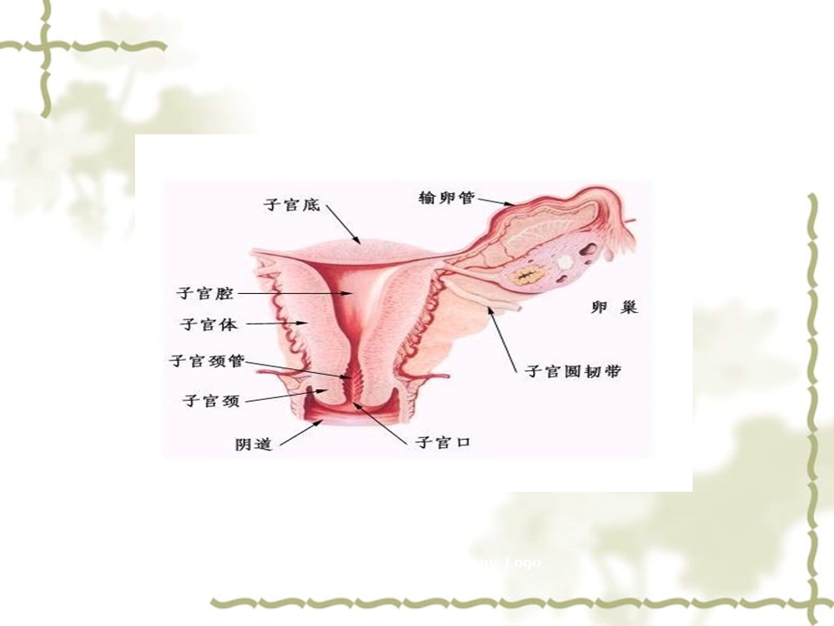 雷电击伤的护理查房课件.ppt_第3页