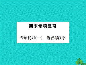 七年级语文上册专项复习(一)语音与汉字ppt课件语文版.pptx