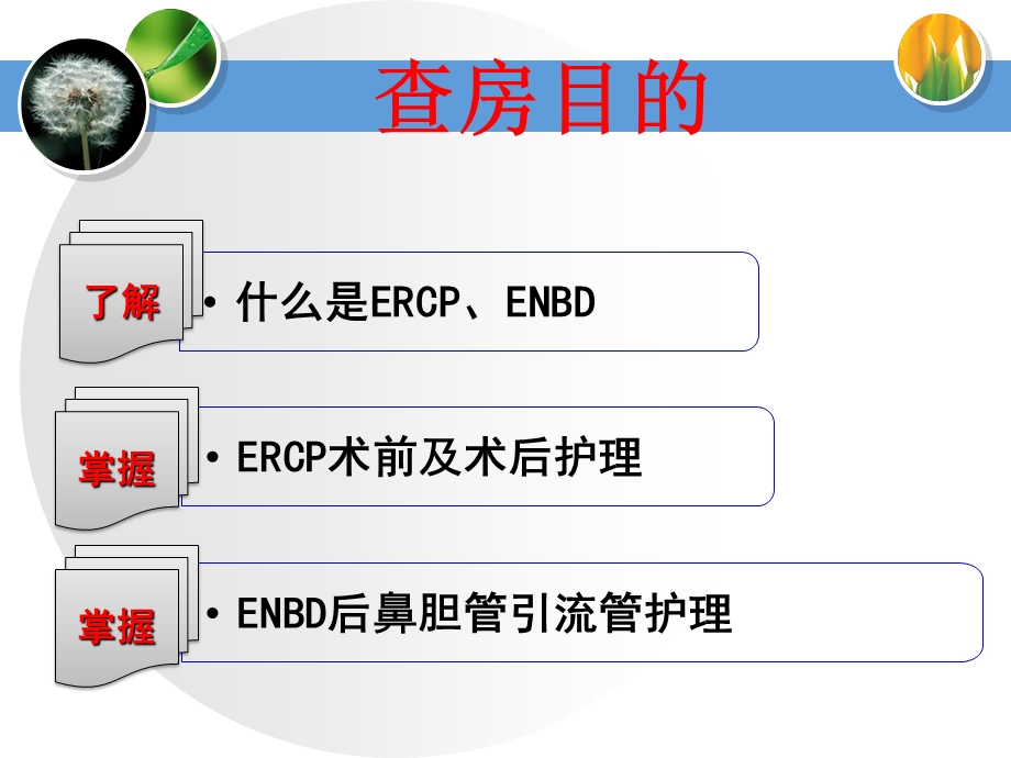 ercp相关技术及护理课件.pptx_第1页