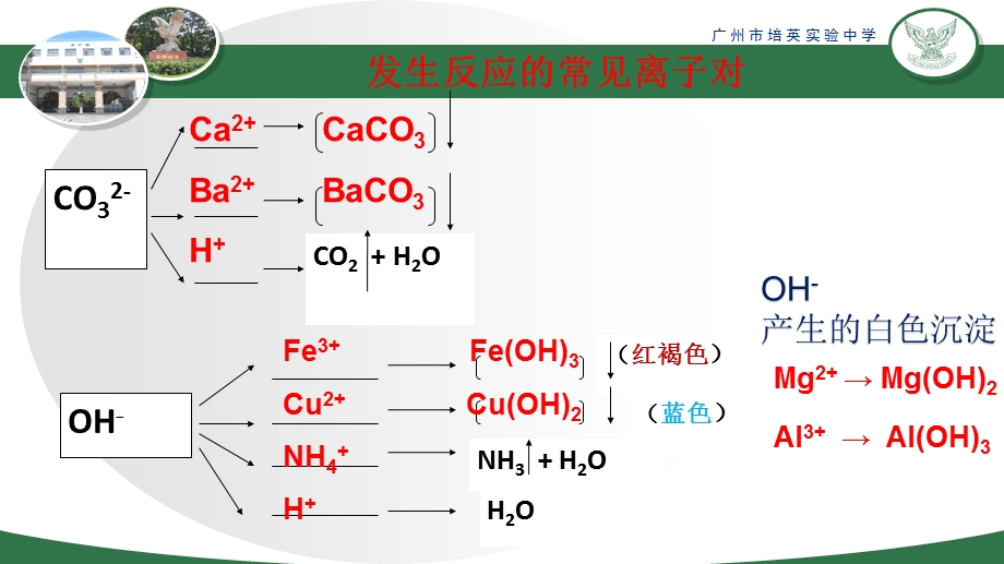 酸和碱的反应课件.pptx_第3页