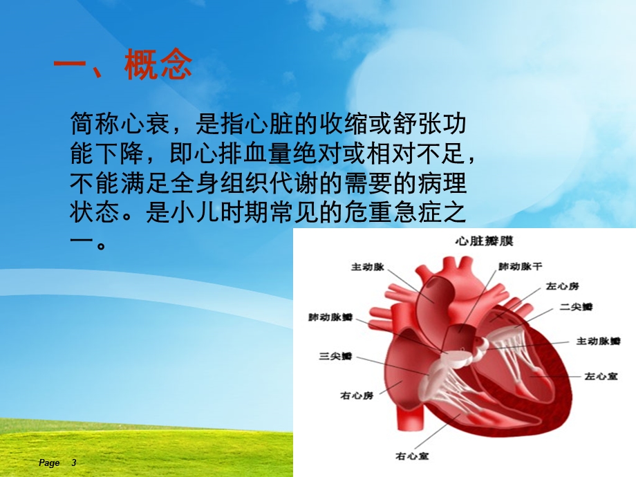 充血性心力衰竭 课件.ppt_第3页