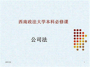 公司法教材版课件.ppt