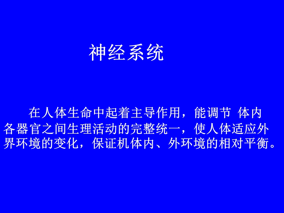 人体其他系统基本知识神经系统 课件.ppt_第1页