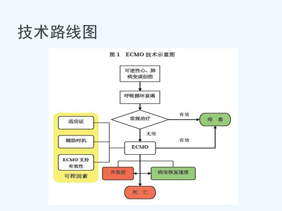 体外膜肺氧合护理要点课件.pptx_第2页