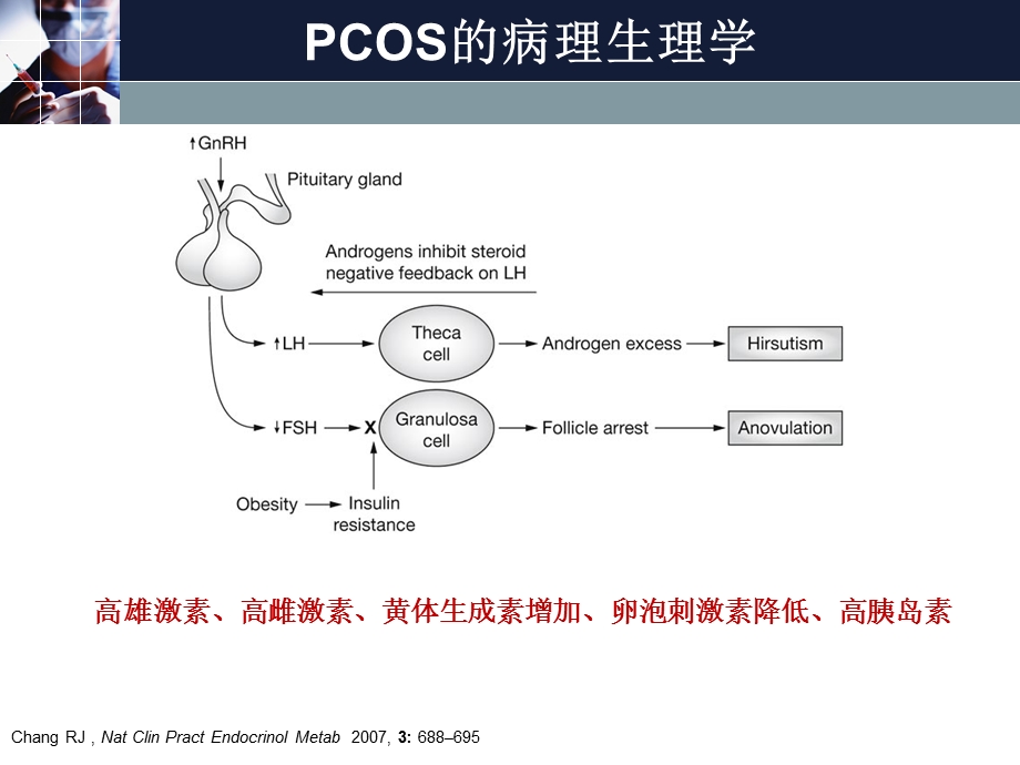 青春期多囊卵巢综合征诊治共识讲义课件.ppt_第3页