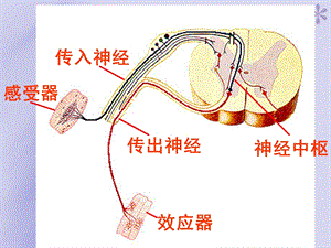 简单反射和复杂反射汇总课件.ppt