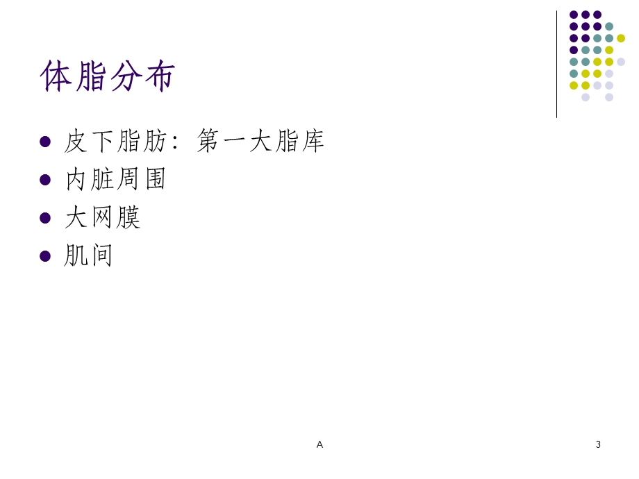 上臂围和皮褶厚度测量课件.ppt_第3页