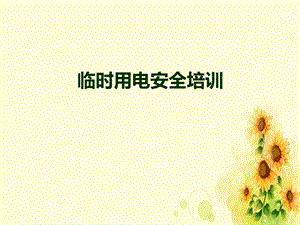 《临时用电安全培训》课件.ppt