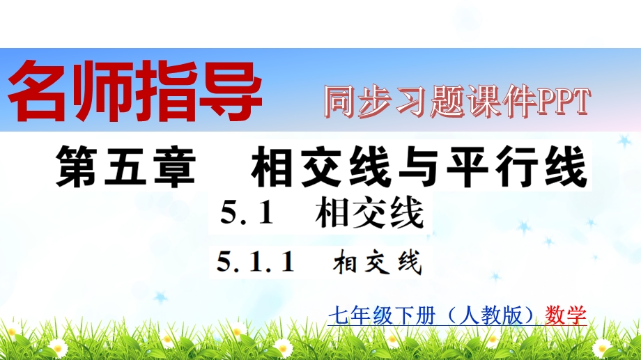 人教版七年级下册数学同步习题全册ppt课件.ppt_第2页