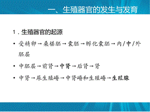 动物生殖器官及机能动物繁殖学课件.ppt