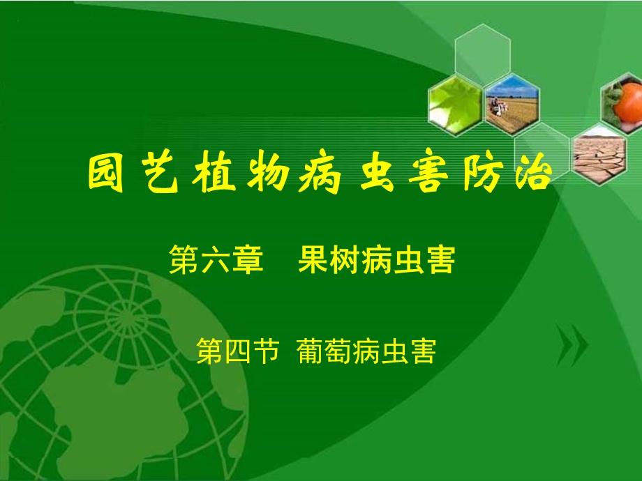 园艺植物病虫害防治课件.ppt_第1页