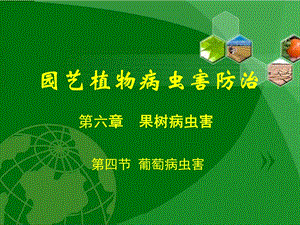 园艺植物病虫害防治课件.ppt