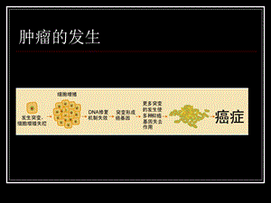 信号通路与肿瘤发生课件.ppt