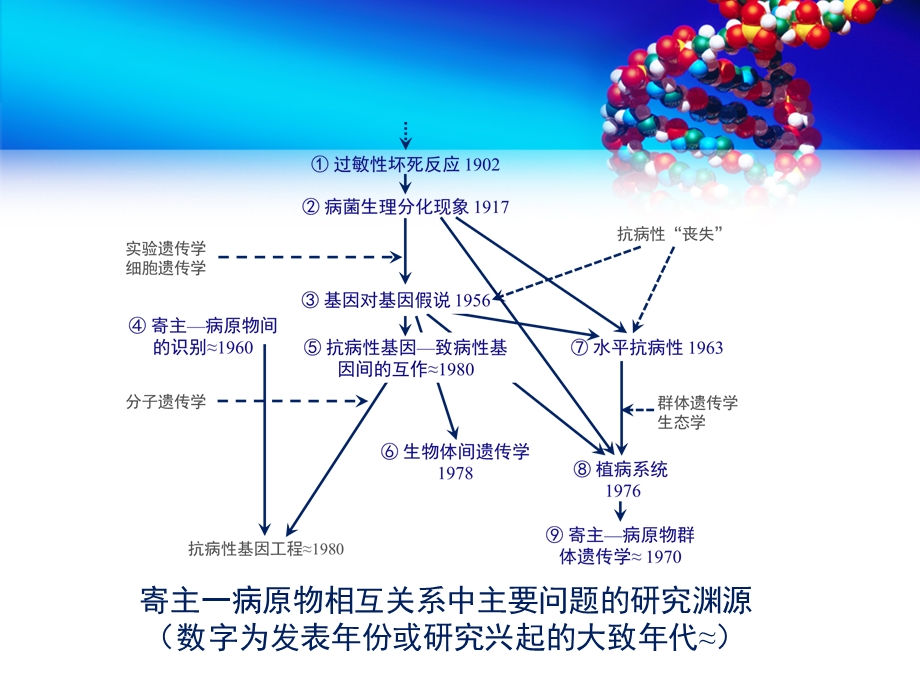 植物与病原物互作的相关基因汇总课件.ppt_第3页