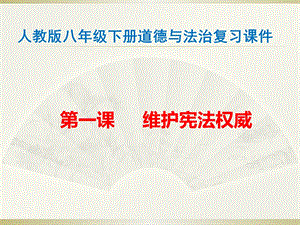 人教版八年级下册道德与法治复习ppt课件.pptx