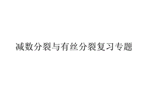 减数分裂与有丝分裂复习专题 ppt课件.ppt