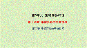 千姿百态的动物世界ppt课件2020年秋苏教版八年级上册生物.pptx