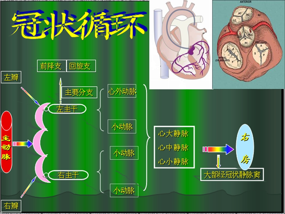 冠状动脉搭桥术后康复注意事项交流演讲稿课件.ppt_第2页