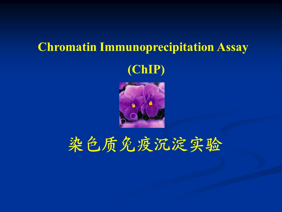 染色质免疫共沉淀实验方法简介教程课件.ppt_第1页