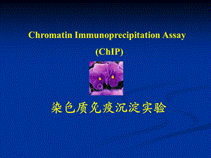 染色质免疫共沉淀实验方法简介教程课件.ppt