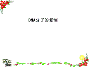 DNA分子的复制完整版课件.ppt