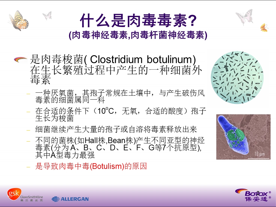 保妥适介绍ppt课件.ppt_第2页