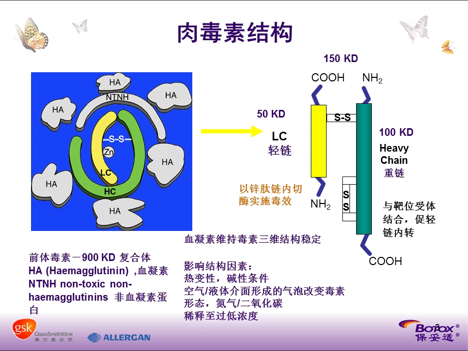 保妥适介绍ppt课件.ppt_第3页