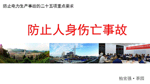 二十五项反措之防止人身伤害参考文档课件.ppt