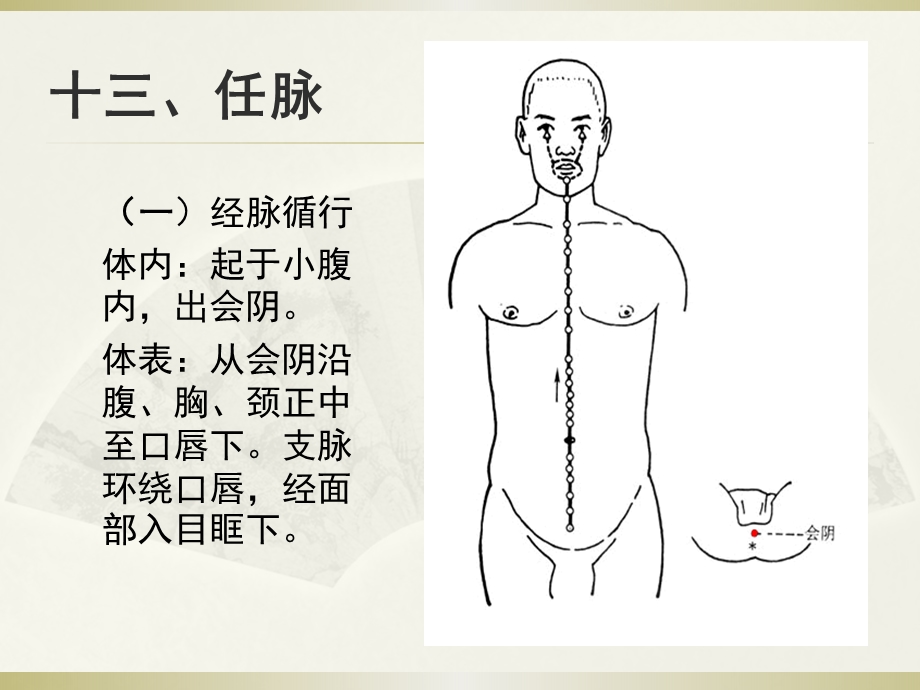 任脉督脉教程课件.ppt_第1页