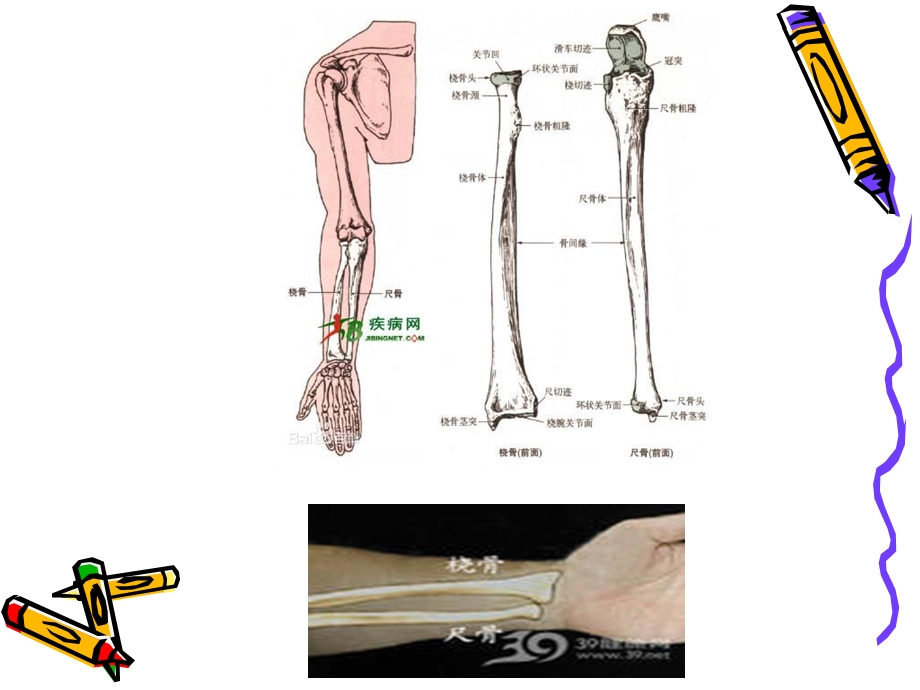 人物速写透视比例专题培训ppt课件.ppt_第3页