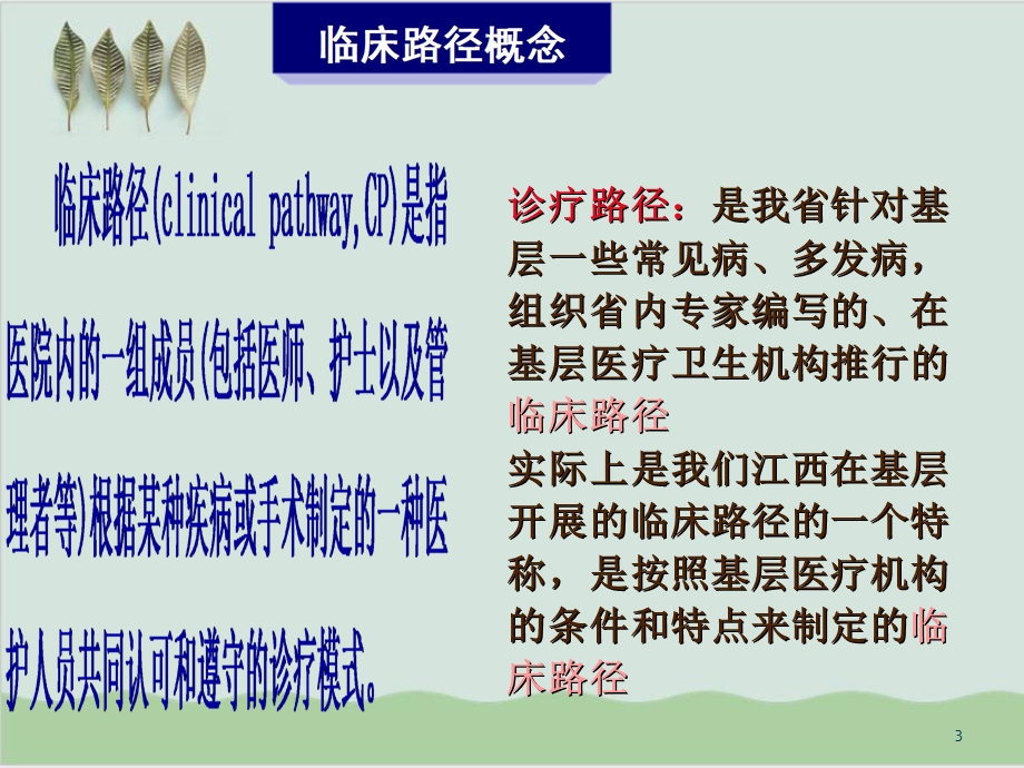 临床路径质量管理与控制课件.ppt_第3页