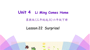 冀教版六年级下册英语Lesson22 Surprise!课件.ppt