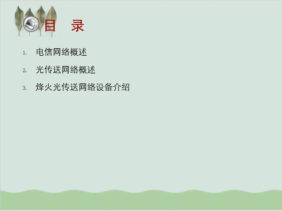 光传送网概述课件.ppt_第2页