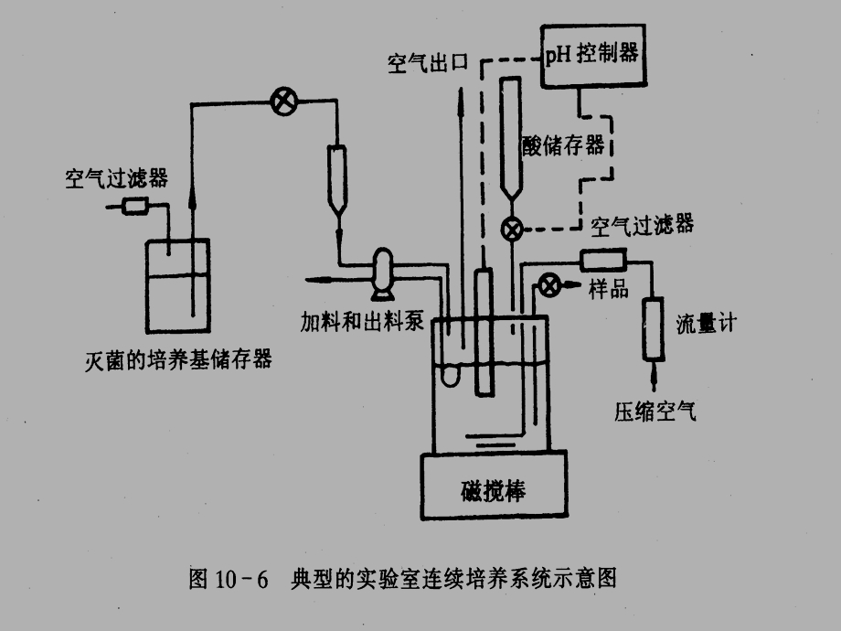 连续发酵汇总课件.ppt_第2页