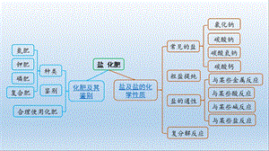 初中化学盐 化肥精华知识点总结课件.pptx