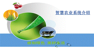 农业物联网 智慧农业整体运营解决方案课件.ppt