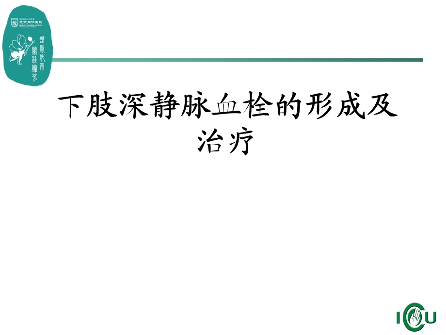 下肢深静脉血栓的形成及治疗课件.ppt_第1页