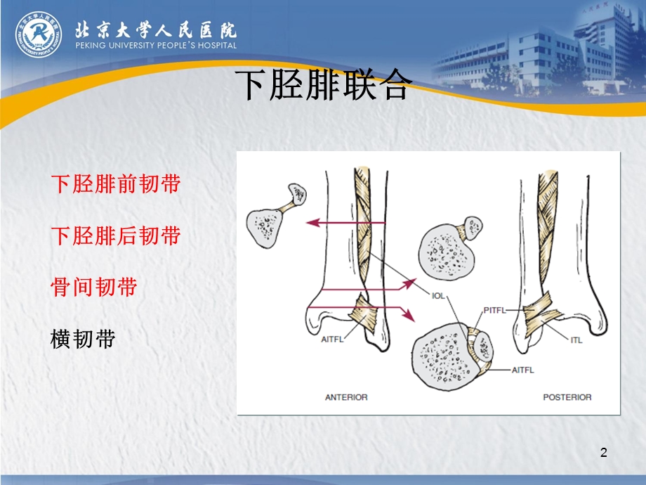 下胫腓联合损伤课件.ppt_第2页