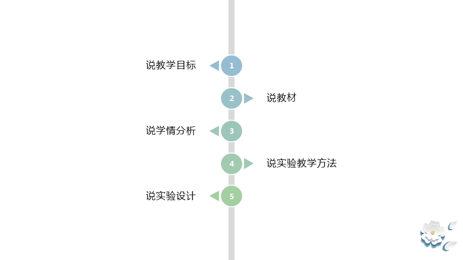 观察叶片的结构说课 ppt课件.pptx_第2页